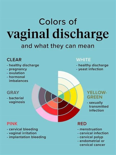 Vaginal Discharge During Pregnancy | Bump2Baby Scans