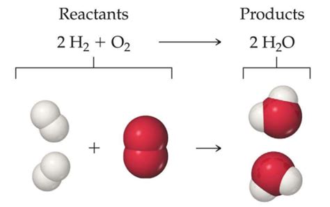 Reactants and Products Study Guide | Inspirit