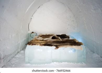 226 Inside An Igloo Images, Stock Photos & Vectors | Shutterstock