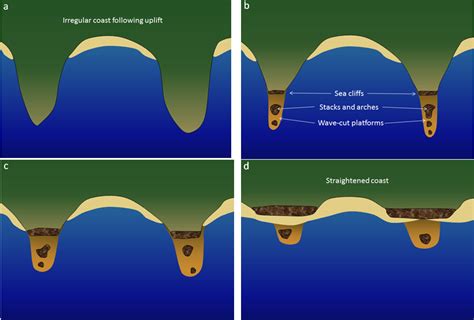 17.2 Landforms of Coastal Erosion – Physical Geology