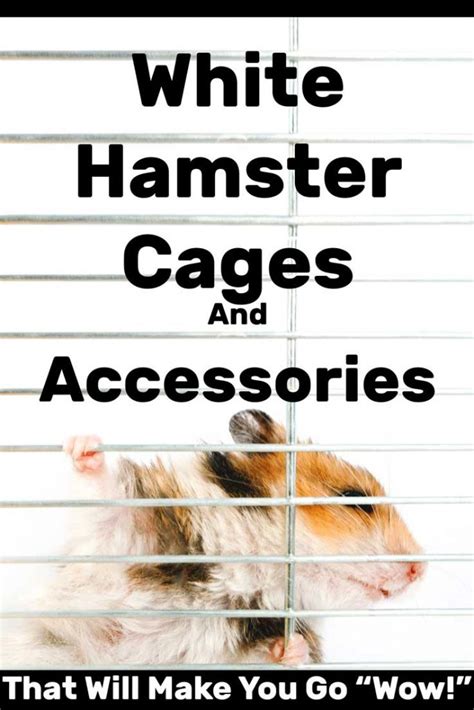 White Hamster Cages and Accessories That Will Make You Go "Wow ...