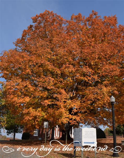 Destination: Jonesborough, TN | Every Day Is The Weekend