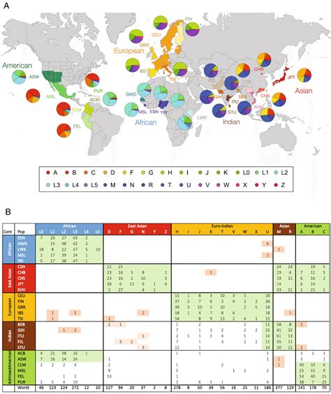 What are Haplogroups? Living DNA explain | Living DNA