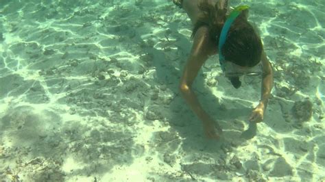 Snorkeling in the San Blas Islands Guna Yala Panama GOPR0060 - YouTube