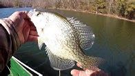 Richard Gene The Fishing Machine - YouTube