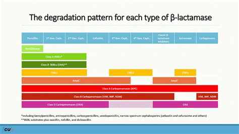 Beta-lactamases and Beta-lactamase Inhibitors: What does the ...