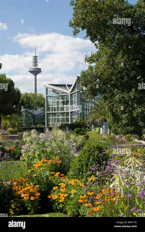 Palmengarten, botanical garden in Frankfurt, Tropicarium and skyline of ...