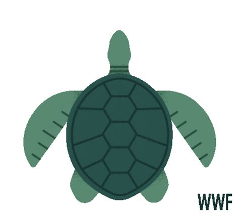 Sea Turtle Swimming Sticker by WWF_UK for iOS & Android | GIPHY