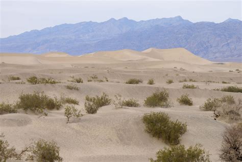 Desert Description - Land Biome Overview