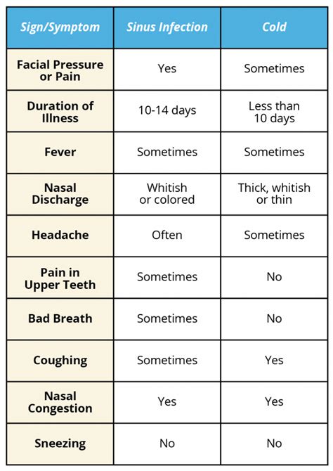 Sinus Infection Vs Cold