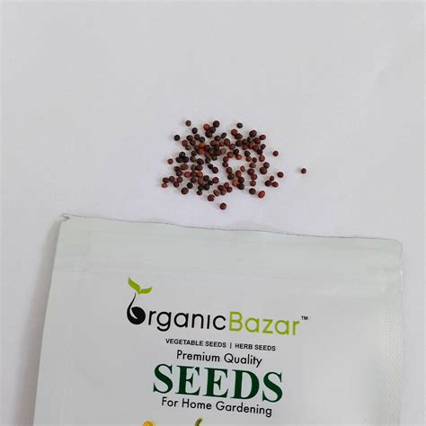 Buy Best quality Kale Hybrid Seeds online - Organicbazar