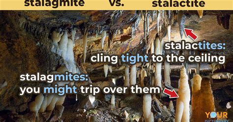 Stalagmite vs. Stalactite: Key Differences in Formations | YourDictionary