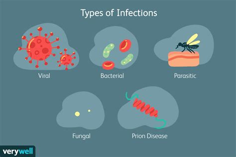 Infection: Overview and More