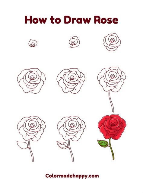 How to Draw a Rose: A Step by Step Guide