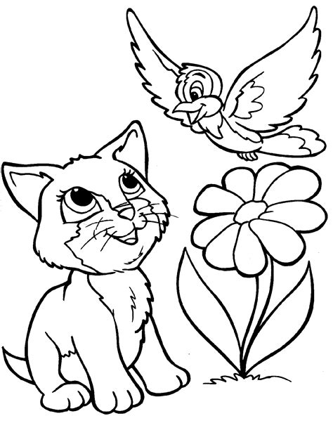 Free Printable Cat Coloring Pages For Kids