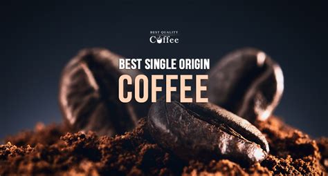 Sip Perfection with the Best Single Origin Coffee Beans - Best Quality ...