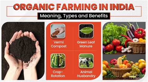 Organic Farming - Meaning, Types, Benefits & Importance