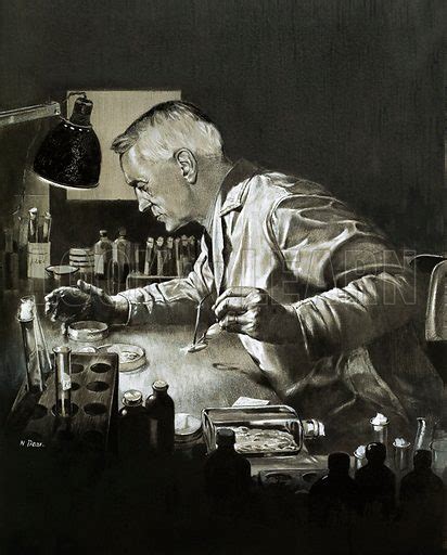 Alexander Fleming and the discovery of penicillin stock image | Look ...