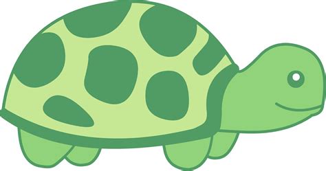 Turtles clipart 20 free Cliparts | Download images on Clipground 2024