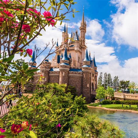 NEWS! Tokyo Disneyland Has Extended Its Closure AGAIN! | the disney ...