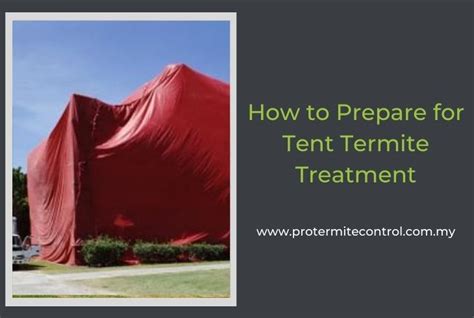 How to Prepare for Tent Termite Treatment? - The Best Tips