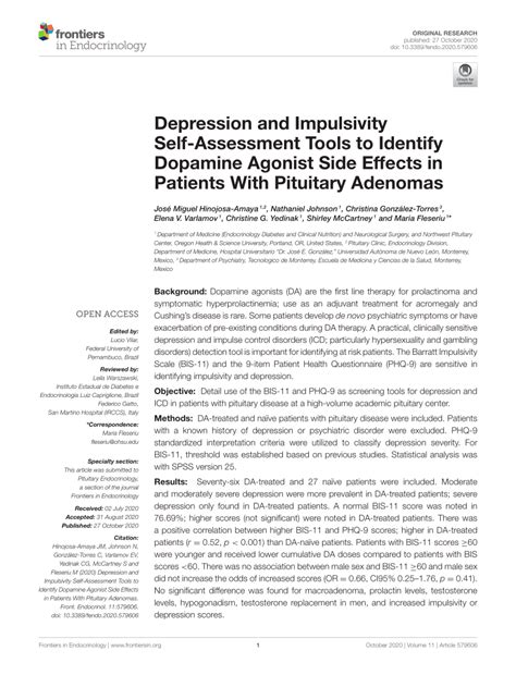 (PDF) Depression and Impulsivity Self-Assessment Tools to Identify ...