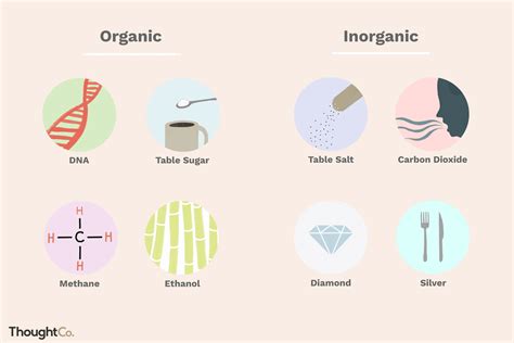 Understand the Difference Between Organic and Inorganic