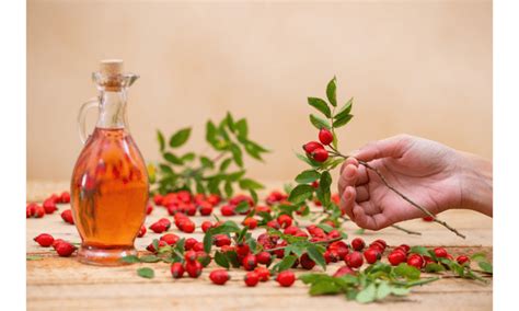 6 Best Rosehip Oil Benefits to Prevent Hair Loss » AajKaAkhbaar.com