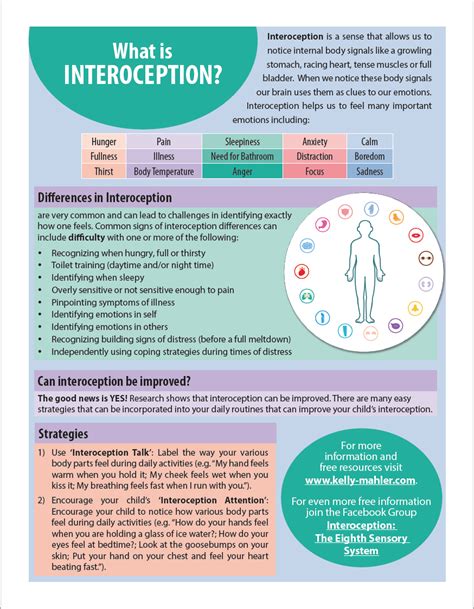 Kelly Mahler's Interoception Training: Boost Body Awareness | Kinder