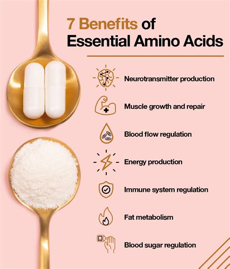 Do You Need to Take Amino Acid Supplements? – The Amino Company