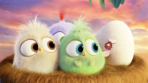 120+ Angry Birds HD Wallpapers and Backgrounds