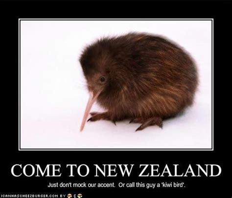 Only in New Zealand Funny New Zealand Pictures