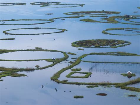 Houses of fisherfolk on Loktak Lake rest on floating islands made of ...