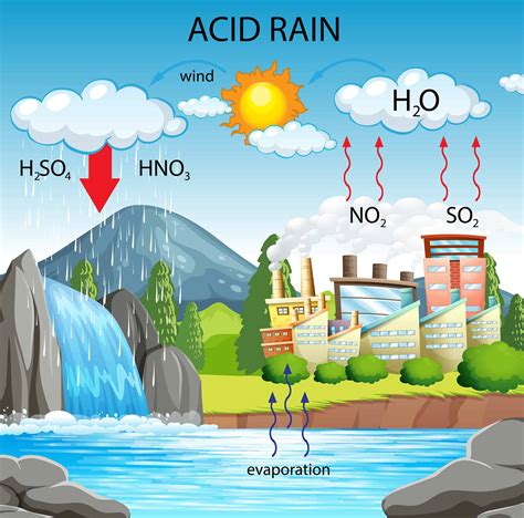 Acid Rain Formation Diagram