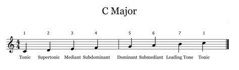 Degree In Music Theory – CollegeLearners.com