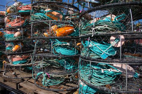 Bay Area's Dungeness crab season is delayed - again