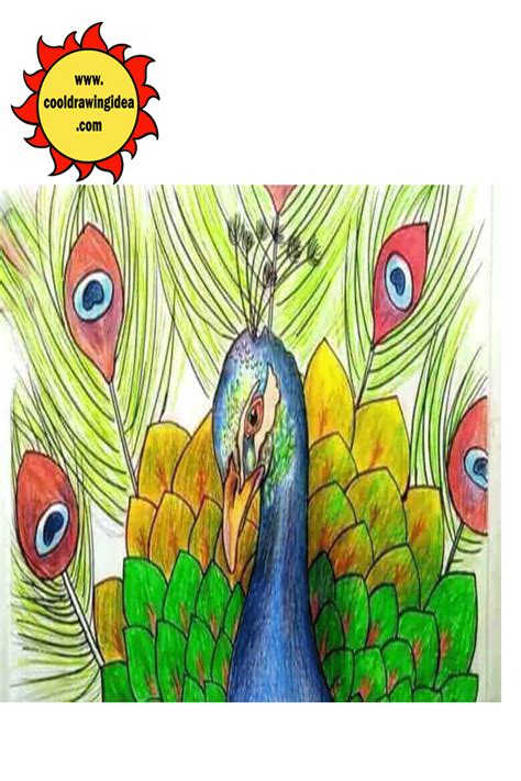 Peacock Drawing Step by Step. How to Draw Peacock For Youngsters | by ...