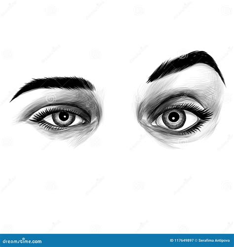 Women`s Eyes Sketch Vector Graphic Stock Vector - Illustration of ...