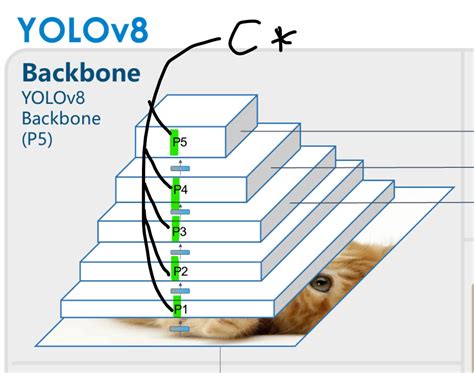 Brief summary of YOLOv8 model structure - Githubissues