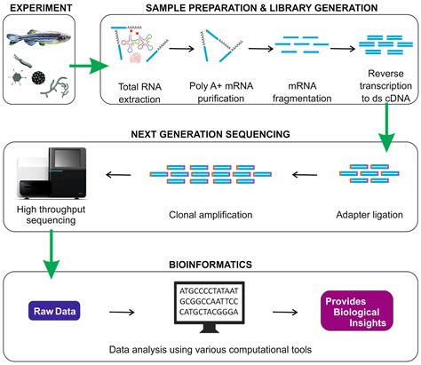 RNA-Seq reveals pathogenic mechanisms of diseases in fish | RNA-Seq Blog