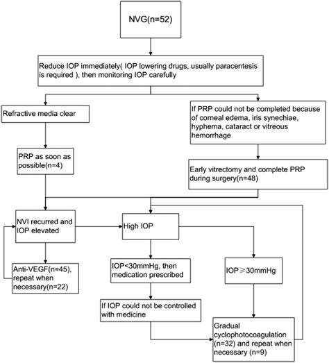 Flow chart shows treatment schedule. IOP: Intraocular pressure; NVG ...