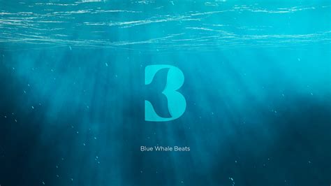 Blue Whale Beats on Behance