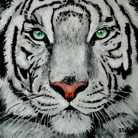 white tiger portrait, acrylic on canvas Black Canvas Paintings, Animal ...