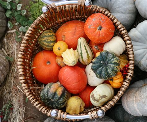 When to pick a pumpkin off the vine: Expert tips | Homes & Gardens