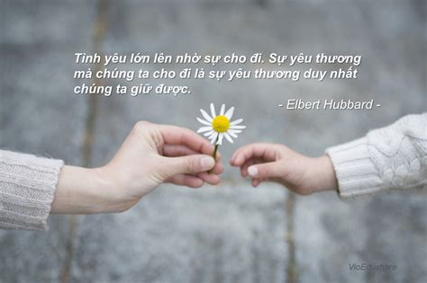 Những Trích Dẫn Hay Nhất Về Tình Yêu Thương - VioEdu