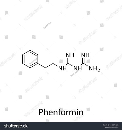 Phenformin Molecular Structure Flat Skeletal Chemical Stock Vector ...