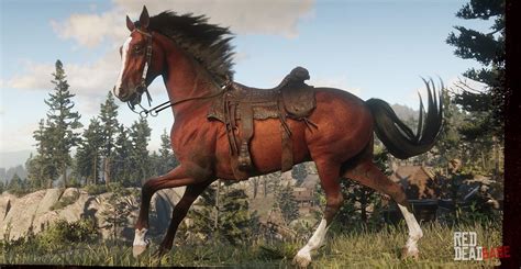 Arabian Horse | RDR2 Horse Breeds Coats, Locations & Stats