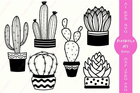 Succulent Outline SVG