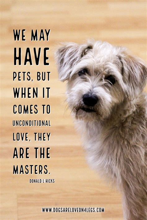 Dog Quote - We may have pets.... Dog, Dog Quotes Inspirational Quotes ...