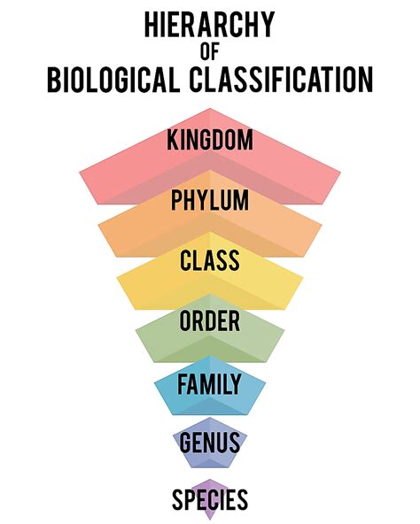 Species - The Knowledge Library